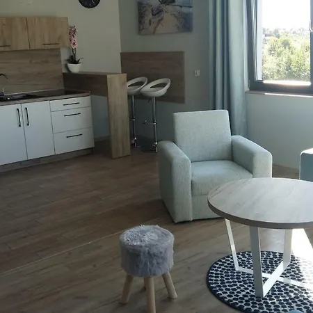Apartment Anchoria Prestige Mechelinki