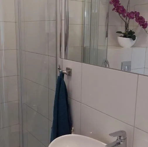 Anchoria Prestige * 梅彻林基